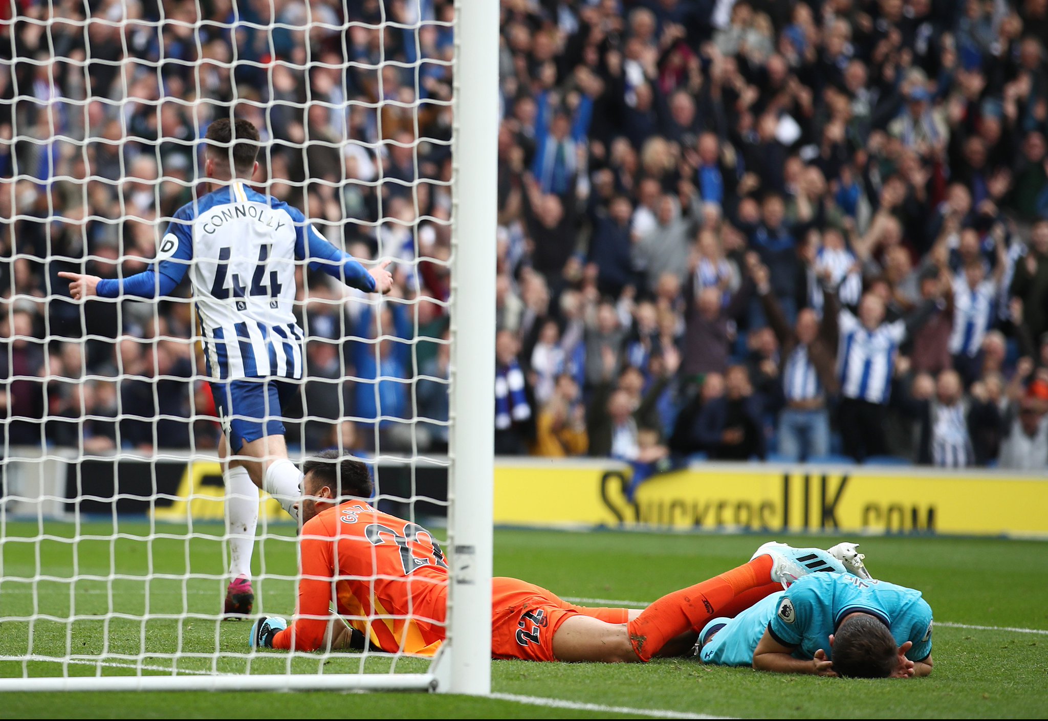 我们只看结 我们只看结